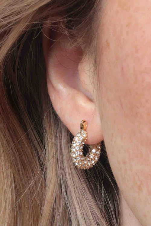 Audrey Huggie Earrings - Pave Gold